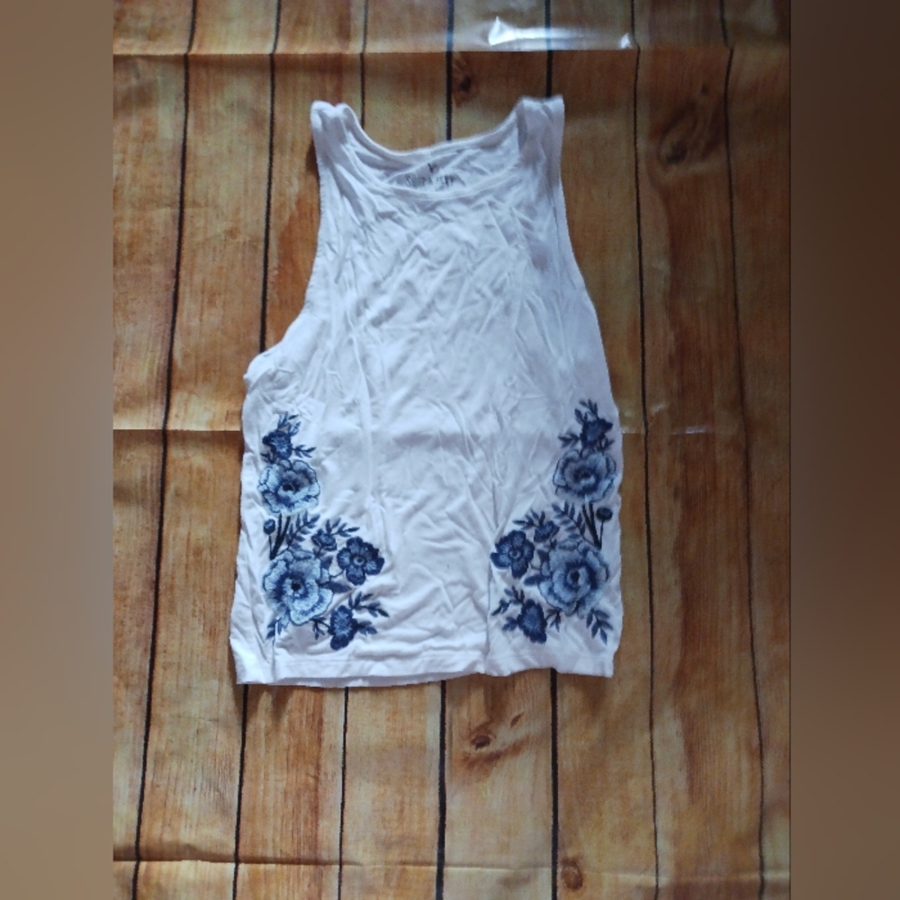 American Eagle Outfitters Soft & Sexy White and Blue Tank Top